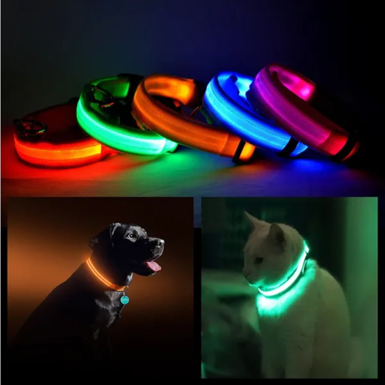 LED Safety Halo Pet Collar – Glow-in-the-Dark Dog & Cat Collar - Accrosstheglobe Store