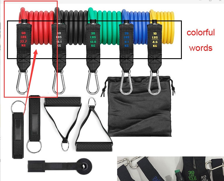 Fitness Elastic Resistance Band – Rally Stretch Rope for Home Gym & Yoga