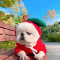 Cute Fruit Print Dog Hoodie – Warm Clothes for Small Dogs - Accrosstheglobe Store