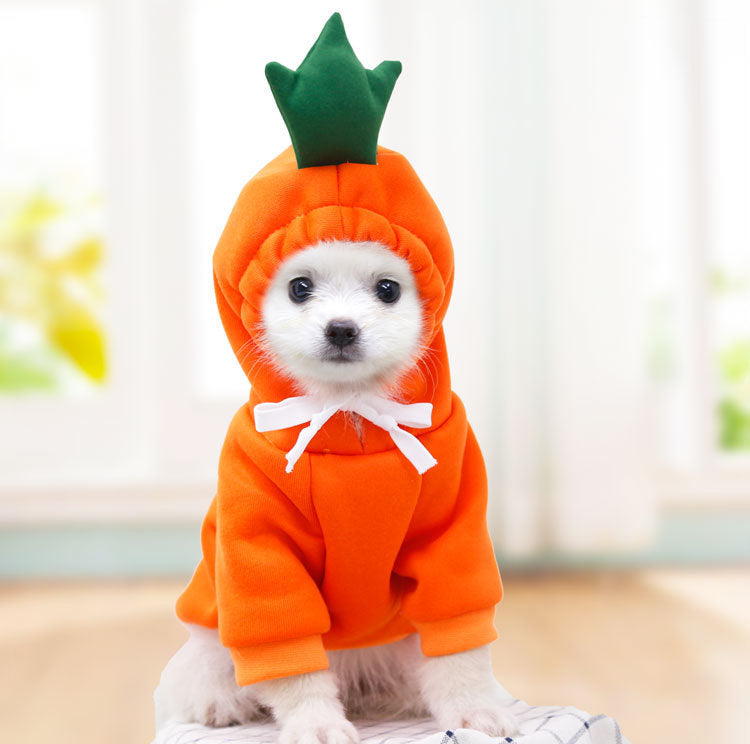Cute Fruit Print Dog Hoodie – Warm Clothes for Small Dogs - Accrosstheglobe Store