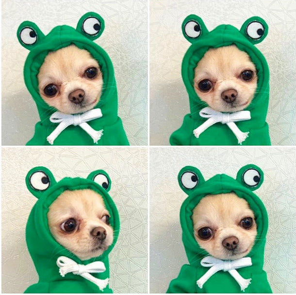 Cute Fruit Print Dog Hoodie – Warm Clothes for Small Dogs - Accrosstheglobe Store