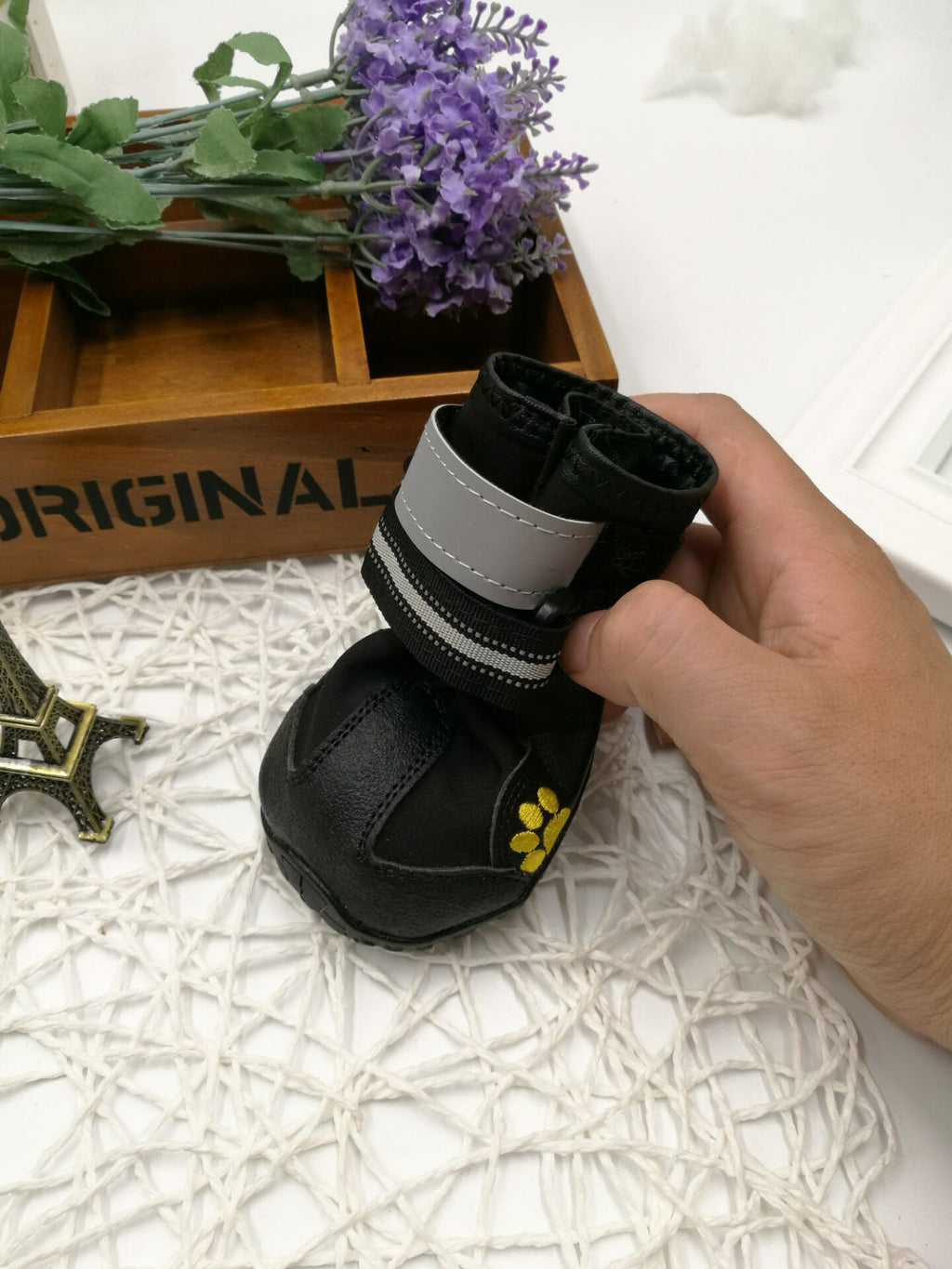Dog Shoes & Boots – Protective Paw Wear for All Seasons - Accrosstheglobe Store