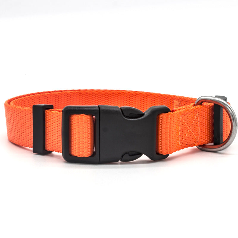 Adjustable Reflective Pet Collar for Dogs & Cats – Safety & Style - Accrosstheglobe Store