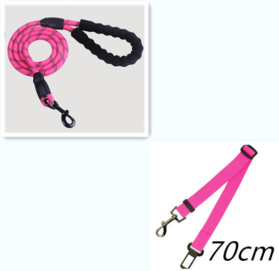 Reflective Nylon Dog Leash – Strong & Safe Pet Walking Rope - Accrosstheglobe Store