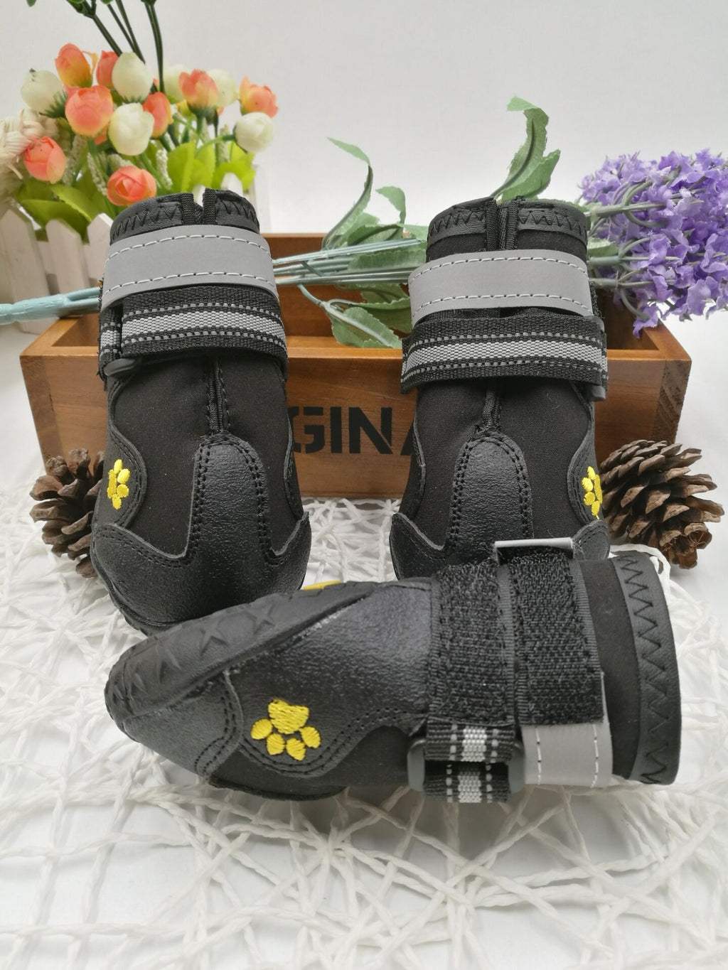 Dog Shoes & Boots – Protective Paw Wear for All Seasons - Accrosstheglobe Store