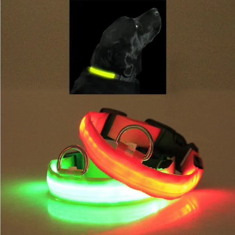 LED Safety Halo Pet Collar – Glow-in-the-Dark Dog & Cat Collar - Accrosstheglobe Store