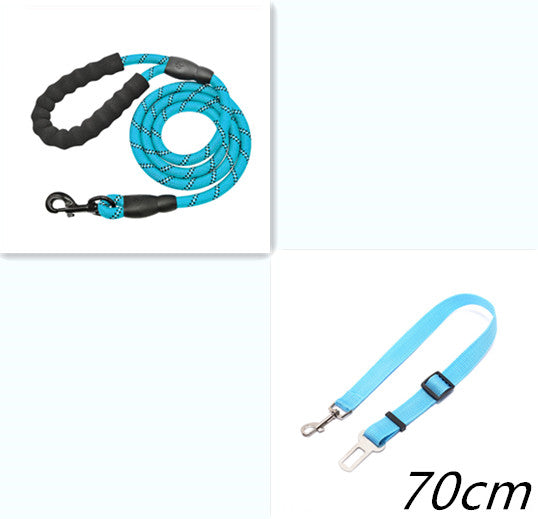 Reflective Nylon Dog Leash – Strong & Safe Pet Walking Rope - Accrosstheglobe Store