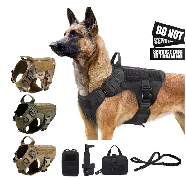 Luxury Dog Harness & Leash Set – No-Pull Pet Walking Set - Accrosstheglobe Store