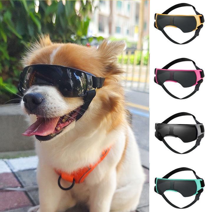 Dog UV-Proof Sunglasses & Goggles – Sun Protection for Dogs - Accrosstheglobe Store