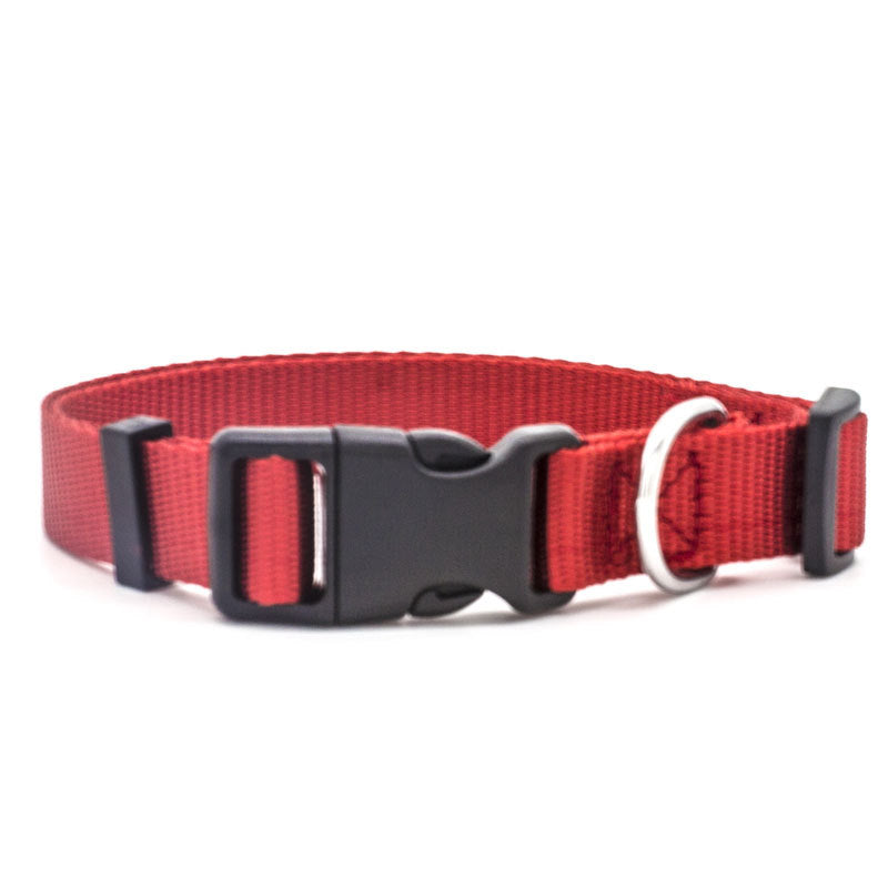 Adjustable Reflective Pet Collar for Dogs & Cats – Safety & Style - Accrosstheglobe Store