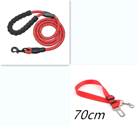 Reflective Nylon Dog Leash – Strong & Safe Pet Walking Rope - Accrosstheglobe Store